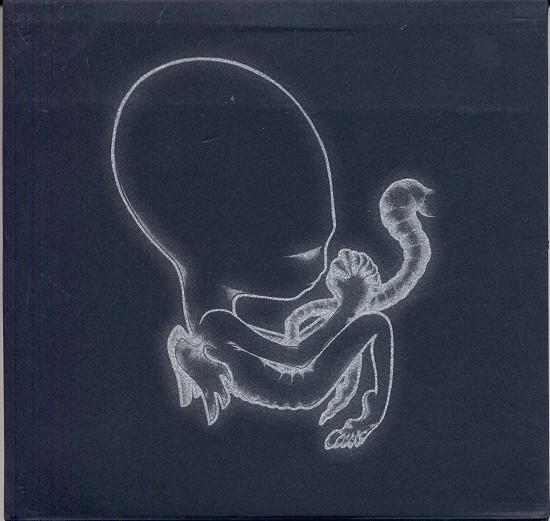 Sigur Rós: Ágætis byrjun (1999)